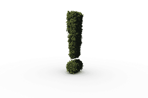 grass exclamation mark on transparent background vector - Download Free Stock Videos Pikwizard.com