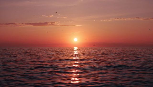 Sun descending over calm ocean with glowing vertical reflection and soaring seabirds
