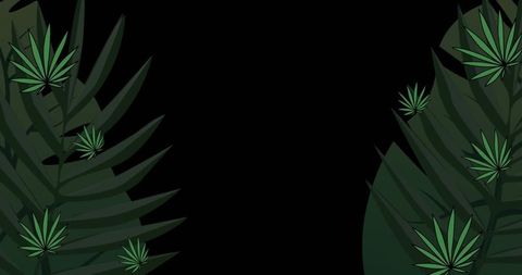 Tropical Leaves Frame on Black Background