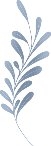 Stylized botanical branch with cool blue leaves on transparent background
