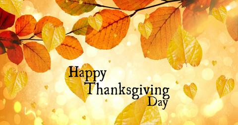 Autumn Leaves Surrounding Happy Thanksgiving Day Message - Download Free Stock Images Pikwizard.com