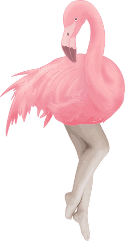 elegant flamingo with human legs on transparent background - Download Free Stock Videos Pikwizard.com