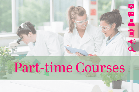 part-time courses transparent background with students in lab - Download Free Stock Videos Pikwizard.com