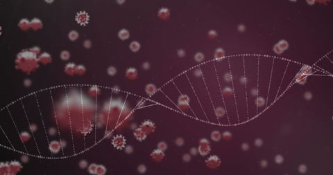 3d coronavirus cells with rotating dna strand