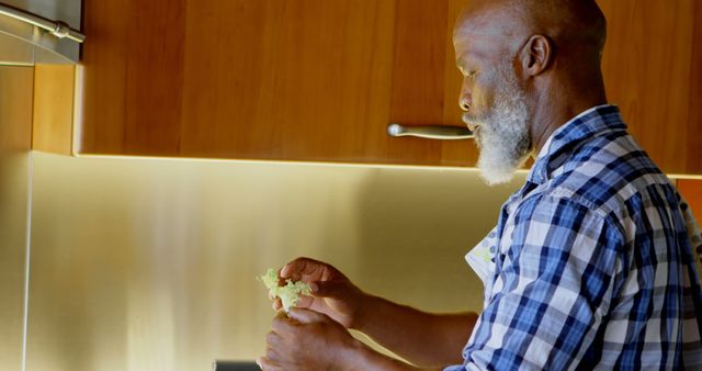 Mature Man Preparing Salad in Modern Kitchen - Download Free Stock Images Pikwizard.com