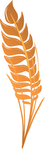 illustrated orange feather leaf on transparent background - Download Free Stock Videos Pikwizard.com