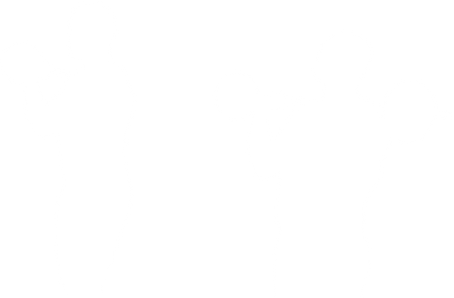 Transparent Silhouettes of Sportsmen Lifting Barbells Isolated - Download Free Stock Videos Pikwizard.com