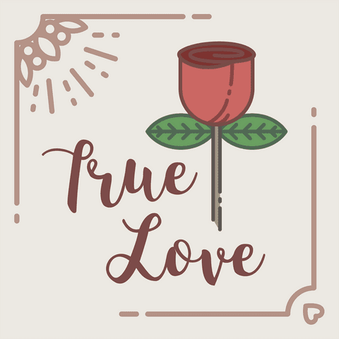 True Love Text with Rose on Transparent Background Illustration