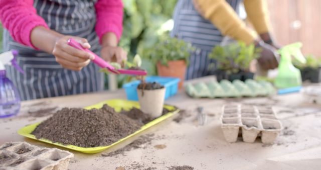 Two people are planting seedlings in small pots, focused on gardening activities. This image highlights teamwork and hands-on gardening skills, suitable for content related to horticulture, DIY gardening projects, environmental education, and home gardening tutorials.