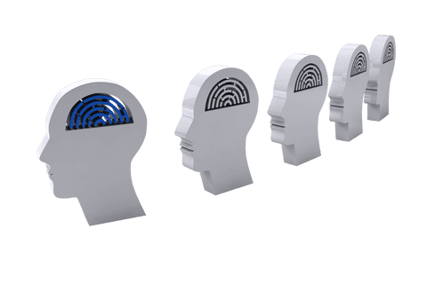 Heads with labyrinth imprints representing knowledge on transparent background