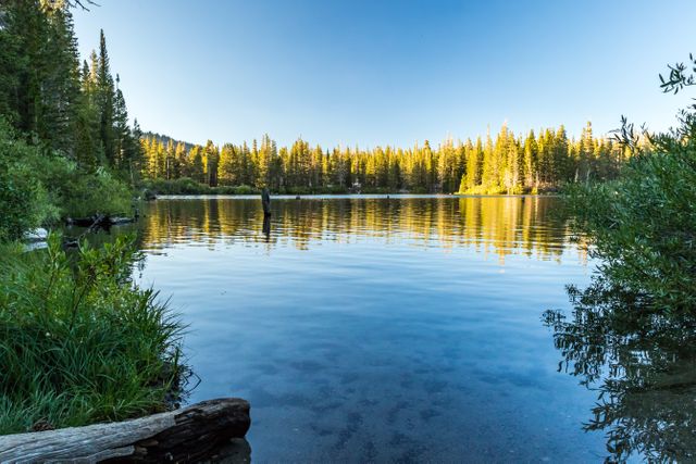 Clear mountain lake with calm water reflecting a lush forest at sunset. Ideal for promoting outdoor activities, tourism, and travel destinations. Perfect for nature-themed designs, yoga and meditation visuals, or promoting a peaceful lifestyle.