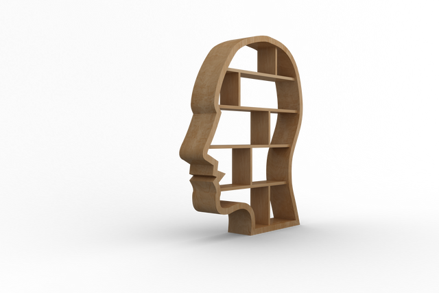 Creative Wooden Head Shape Bookshelf on Transparent Background - Download Free Stock Videos Pikwizard.com