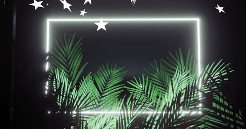 Neon rectangle casting hazy glow through lush palm fronds for modern moody backdrop