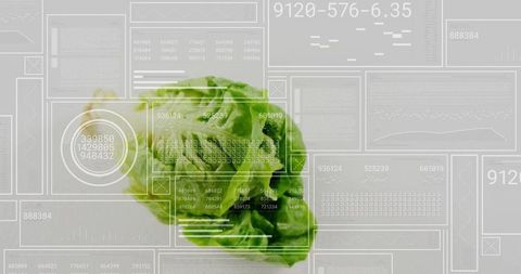 Floating green lettuce head hovering over futuristic data hud overlay for food tech
