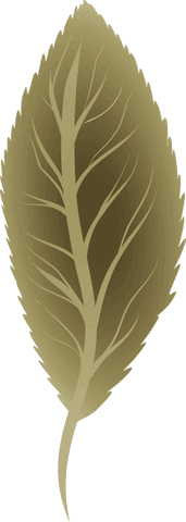 Elegant Transparent Stylized Leaf Illustration with Gold-Brown Gradient Veins - Download Free Stock Videos Pikwizard.com