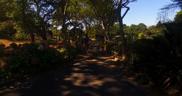 People Cycling on Shaded Path in Beautiful Park - Download Free Stock Images Pikwizard.com