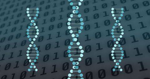 dna strands over binary code representing genetic data - Download Free Stock Images Pikwizard.com