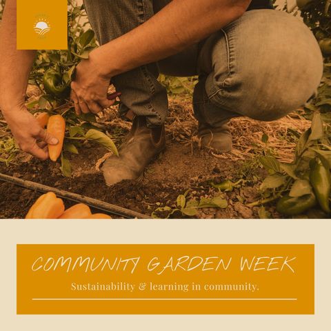 community gardening for sustainability and education - Download Free Stock Templates Pikwizard.com