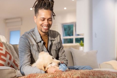 African american man smiling and playing with golden retriever puppy on cozy living room couch