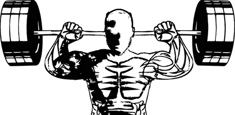 Belted bodybuilder lifting barbell transparent background