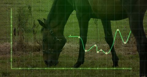 Grazing Horse Amid Line Chart of Growth with Tranquil Pastoral Setting
