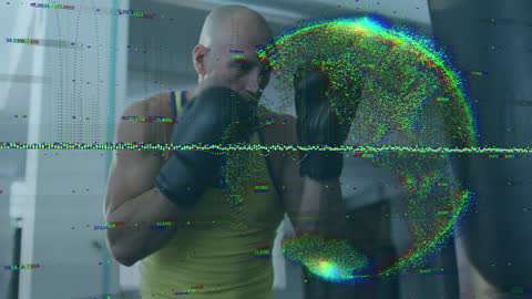 Boxer Training with Digital Data Overlay Highlighting Global Concept