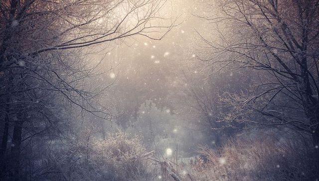 Misty winter woodland clearing with glowing frost and falling snow at soft dawn