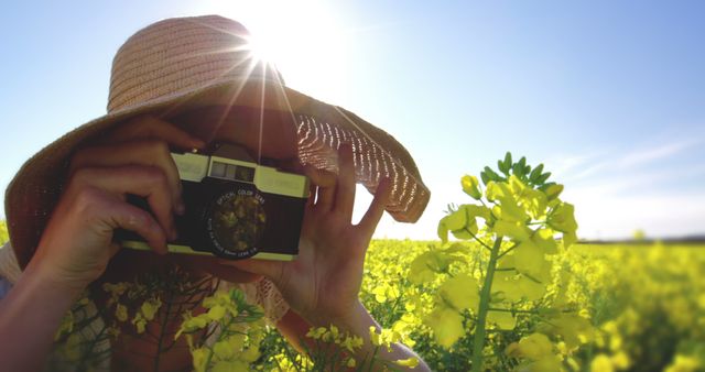 A young Caucasian woman is capturing the beauty of a sunlit field with her camera, with copy space - Download Free Stock Photos Pikwizard.com