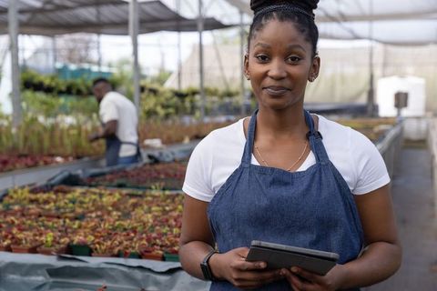 African american woman managing greenhouse nursery with tablet, coworker tending seedlings