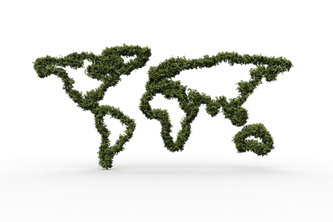 transparent leafy world map sculpture - Download Free Stock Videos Pikwizard.com