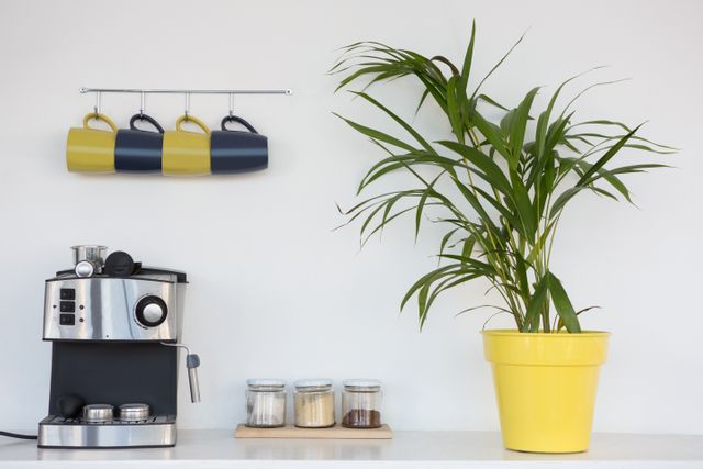 Coffeemaker, pot plant and mugs hanging on hook against wall