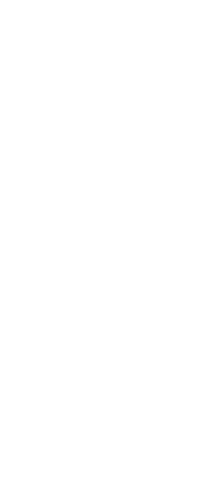 Silhouette of Businesswoman Holding Pen on Transparent Background