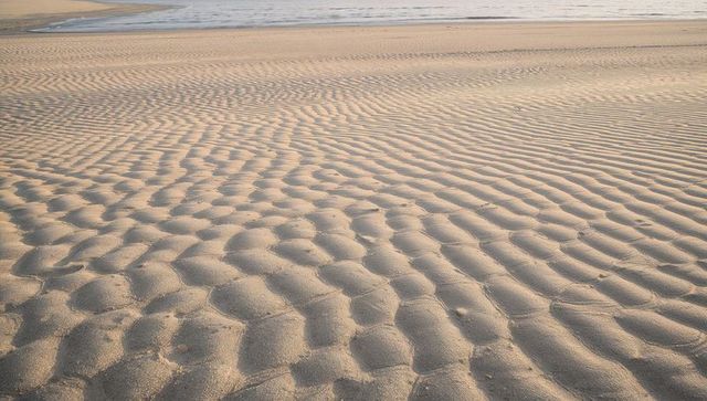 Golden ripples on tidal flat showing textured sand patterns and narrow waterline