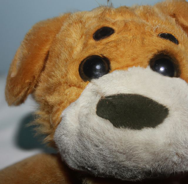 Close up of brown teddy bear on white background - Download Free Stock Photos Pikwizard.com