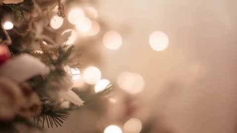 Camera Nudging Focus on Decorated Pine Branch with Red Bauble and Warm Bokeh Lights