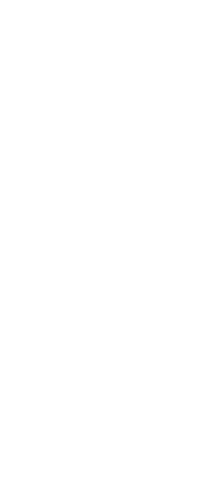 Silhouette of Person Holding Trophy on Transparent Background