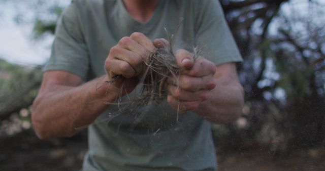 Male Survivalist Preparing Tinder Bundle for Fire - Download Free Stock Images Pikwizard.com