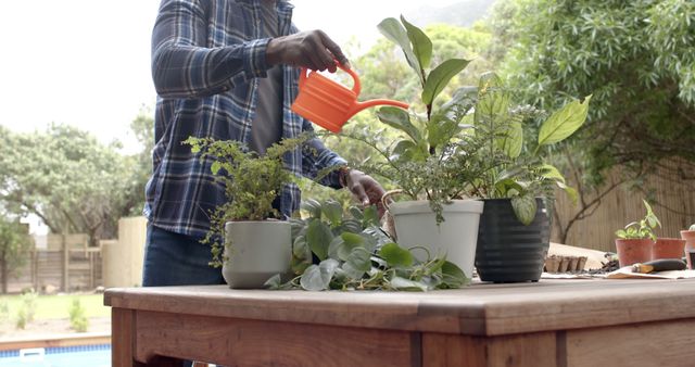 Focused mature african american man watering plants on table in garden. Nature, gardening, hobbies, ecology, care, growth, domestic life and lifestyle, unaltered.