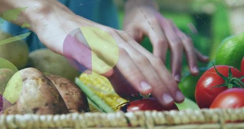 Hands arranging fresh market vegetables with data overlay for food supply analytics