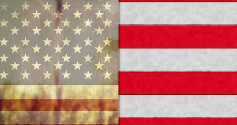 American flag overlay on sunset with plants