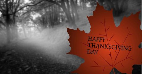 Autumn Leaf with Thanksgiving Greeting in Misty Forest