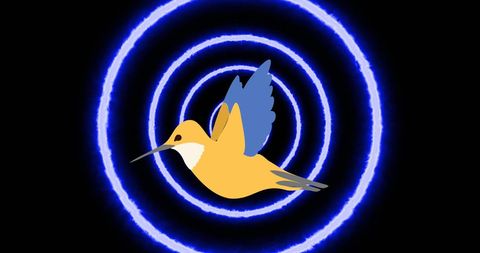 Colorful Bird Flying Through Concentric Blue Rings - Download Free Stock Images Pikwizard.com