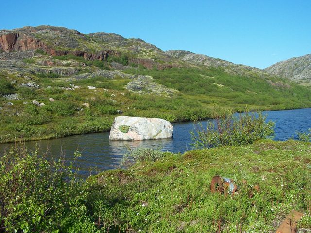The image depicts a serene mountain landscape featuring a calm lake with a large rock in the center. Lush green plant life surrounds the lake, and rocky hills rise gently in the background against a clear blue sky. Suitable for promoting outdoor activities, travel destinations, environmental conservation, and nature-themed content.