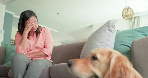 Mature asian woman covering face on sofa with golden retriever in foreground, showing fatigue