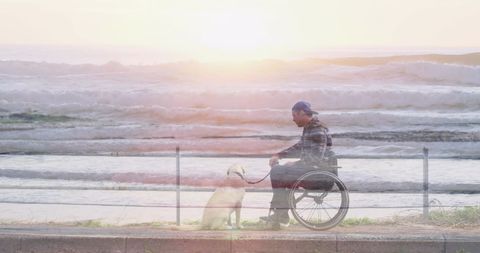Inclusive Beach View: Man in Wheelchair with Dog on Oceanfront