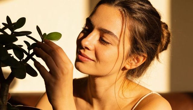 Tending succulent in golden-hour sunlight, woman enjoying calm indoor plant care