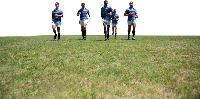 Diverse Rugby Players Running on Grass Court Transparent Background - Download Free Stock Videos Pikwizard.com