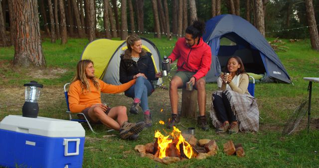 Friends Enjoying Campfire Cooking in Woods - Download Free Stock Images Pikwizard.com