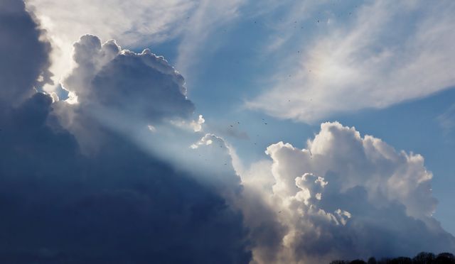 Dramatic Cloudscape with Sunbeams and Silhouettes of Birds - Download Free Stock Photos Pikwizard.com