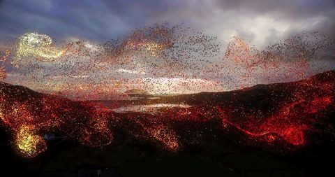Luminous particle ribbon flowing across twilight valley over coastal water and dark hills